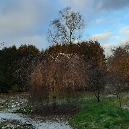 Champetre Park View Daire *