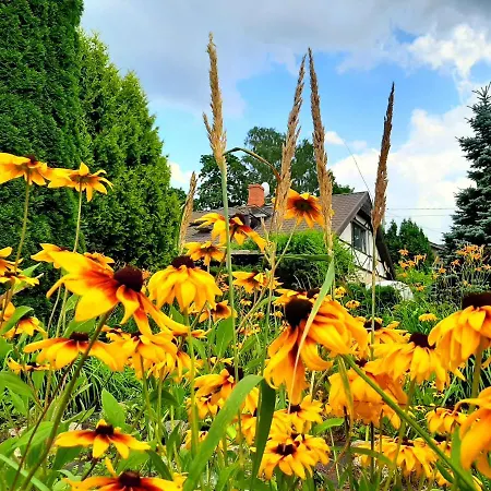 Apartmán Champetre Park View