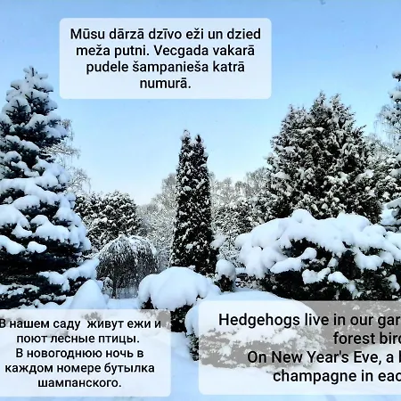 Apartmán Champetre Park View Riga