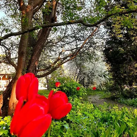 Champetre Park View *