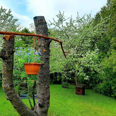 Champetre Park View Daire *