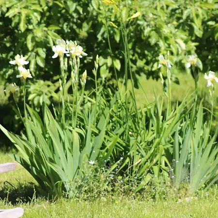 Champêtre Park View * Riga