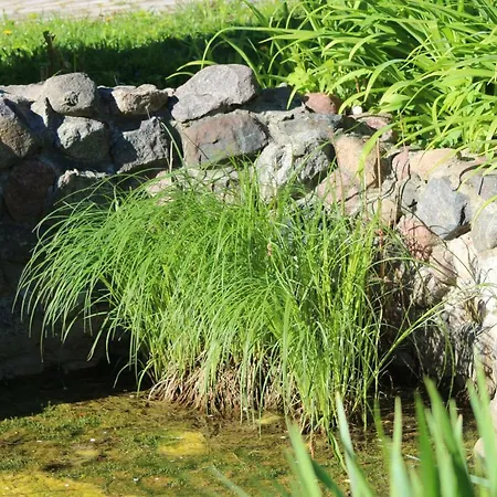 Champetre Park View 리가