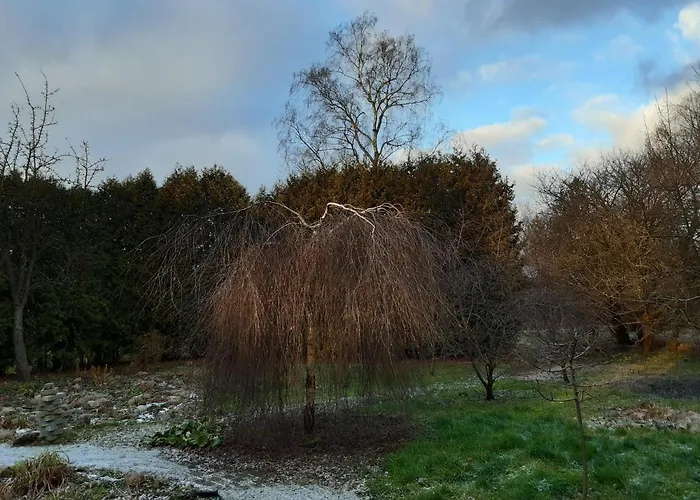 Champetre Park View Dzīvoklis *