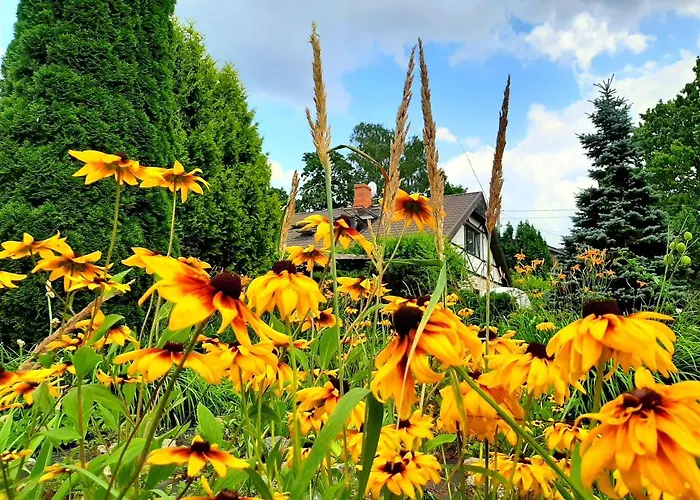 Dzīvoklis Champetre Park View