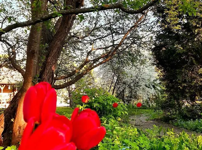 Champetre Park View *