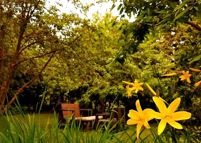 Champetre Park View Dzīvoklis *