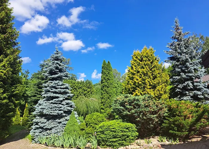 Champetre Park View * Riga
