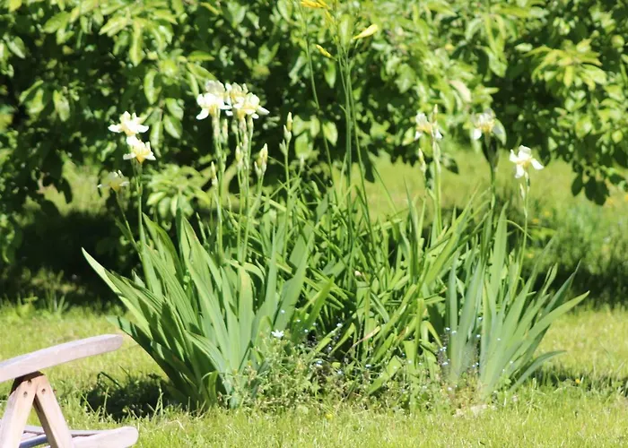 Champetre Park View * Riga