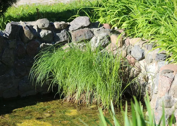 Champetre Park View Riga