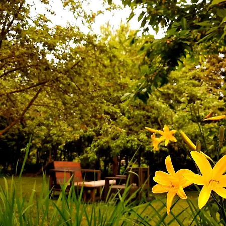 Champetre Park View Appartamento *