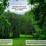 شقة Champetre Park View ريغا